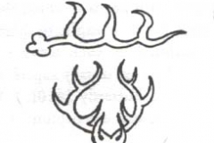 antlers