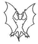 bat4