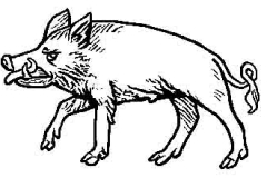 boar passant