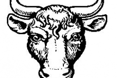 bull head cabossed2