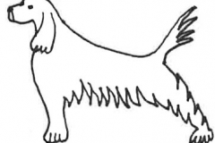dog spaniel statant