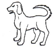 dog statant