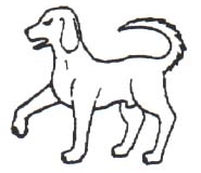 dog talbot passant