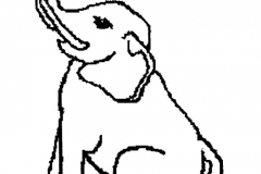 elephant sejant