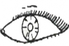 eye2