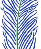 feather peacock proper